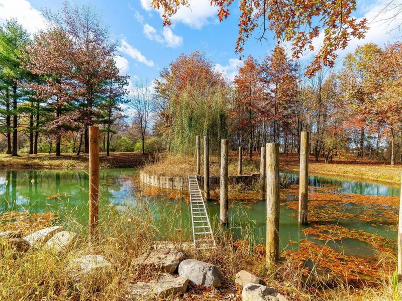 10937 Johnstown Road, New Albany, OH 43054 Photo 57