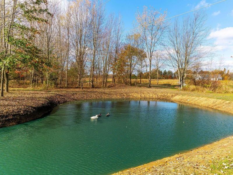 10937 Johnstown Road, New Albany, OH 43054 Photo 42