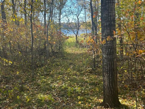 39xxx Osage Drive, Browerville, MN 56438