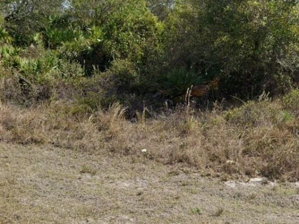 2507 33RD STREET SW, LEHIGH ACRES, FL 33976