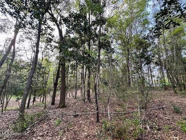 Simon Boulevard, Ocean Springs, MS 39564