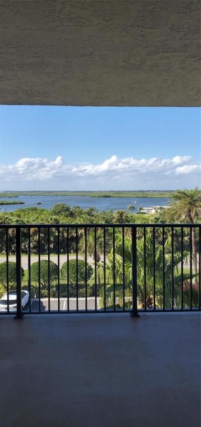 6727 Turtlemound Road, Unit 416, New Smyrna Beach, FL 32169 Photo