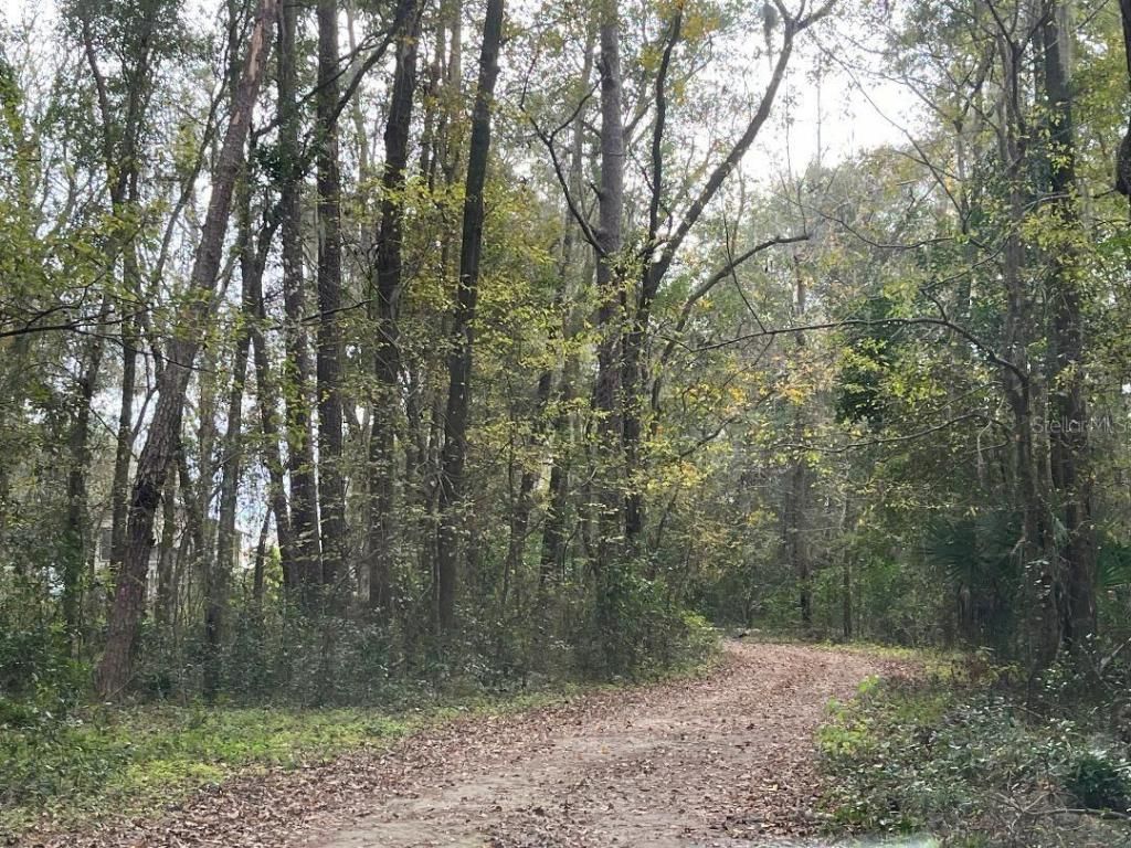 1602a SW Williston Road, Gainesville, FL 32608 Photo