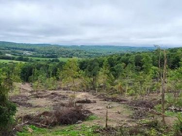 Lot 4 998 Hanlin Road, Bruceton Mills, WV 26525