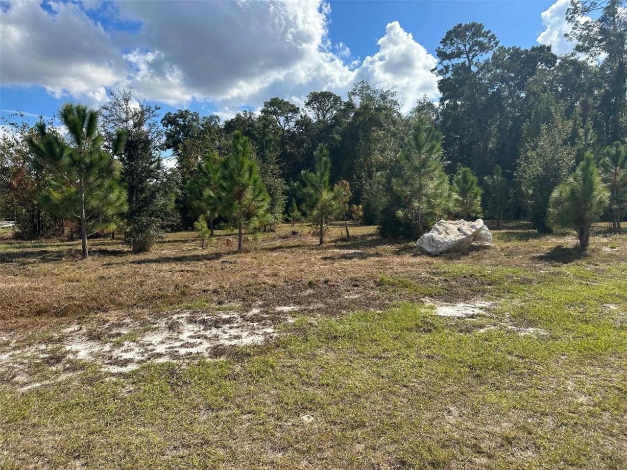 Tbd SW 24th Avenue, Gainesville, FL 32607 Photo