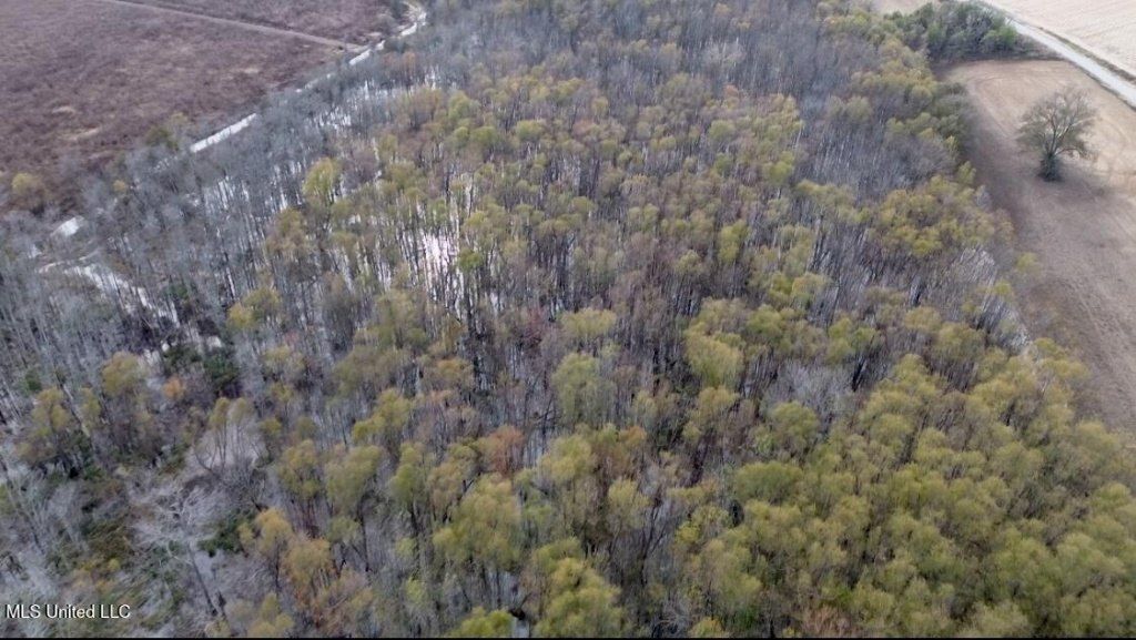 237 King Williams Road, Indianola, MS 38751 Main Photo