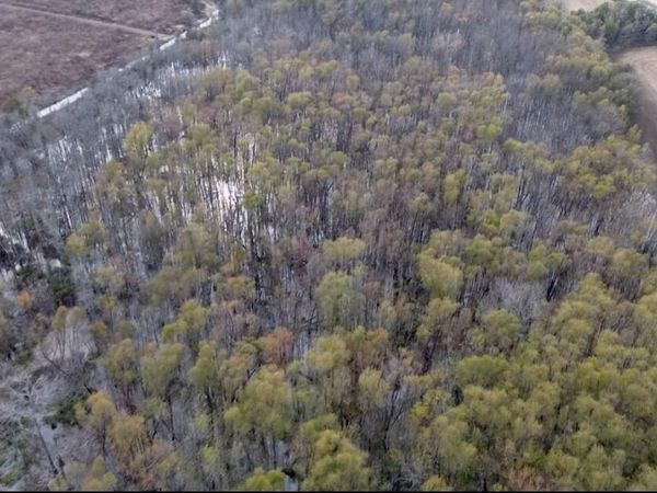 237 King Williams Road, Indianola, MS 38751