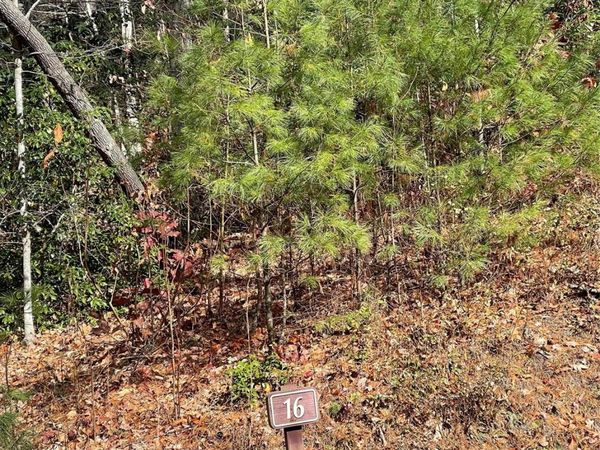 0000 Juniper Berry Lane, Zirconia, NC 28792