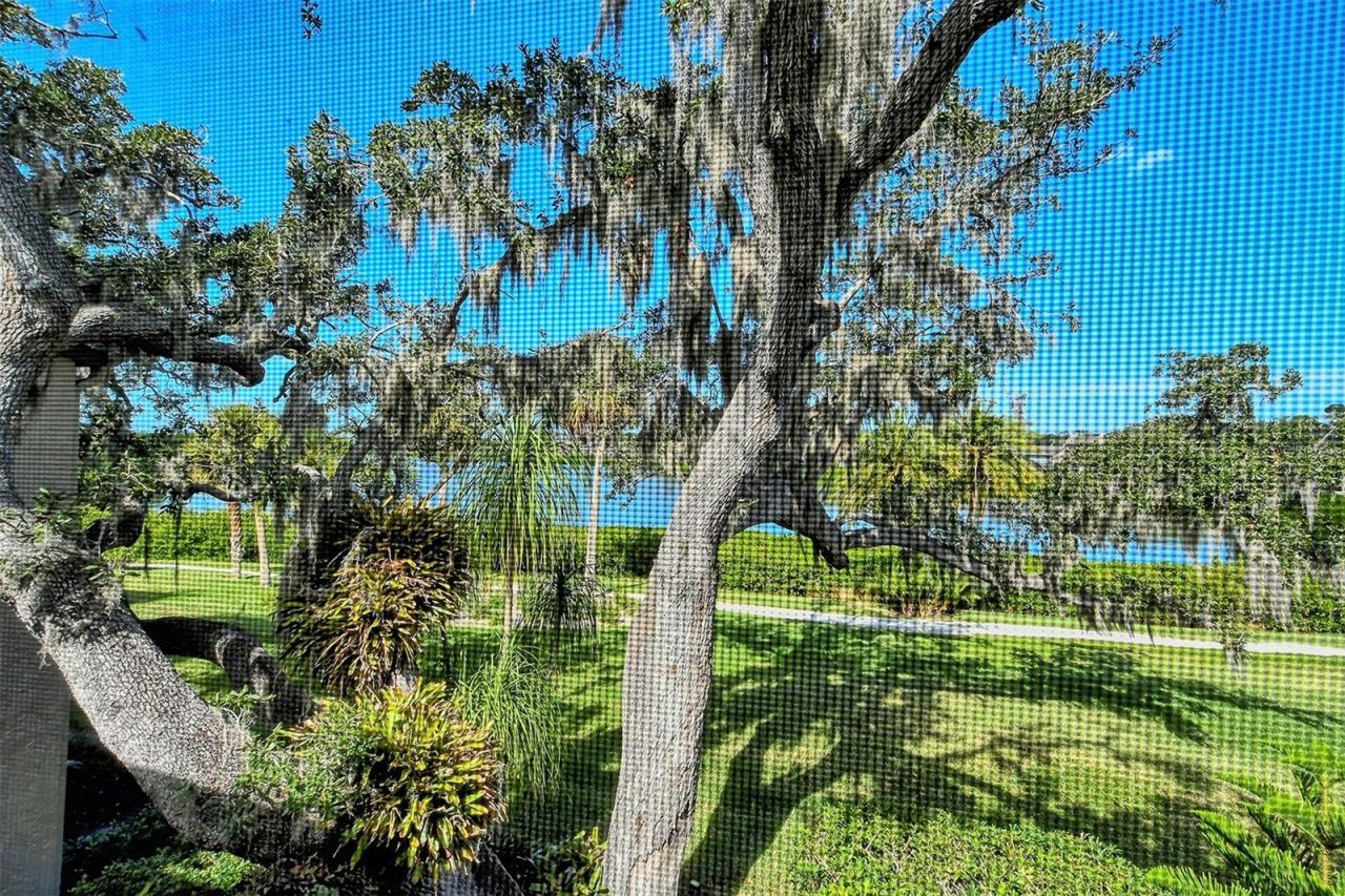 1601 Bayhouse Point Drive, Unit BA206, Sarasota, FL 34231 Photo