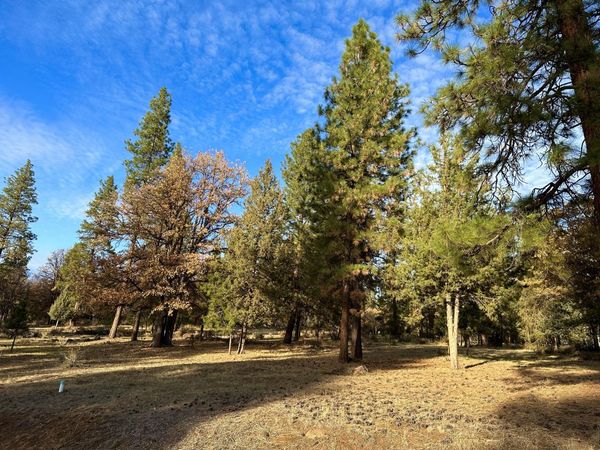 Merganser Road, Unit Lot 106, Klamath Falls, OR 97601