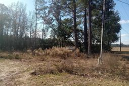 3800 Kickapoo Dr. photo 4