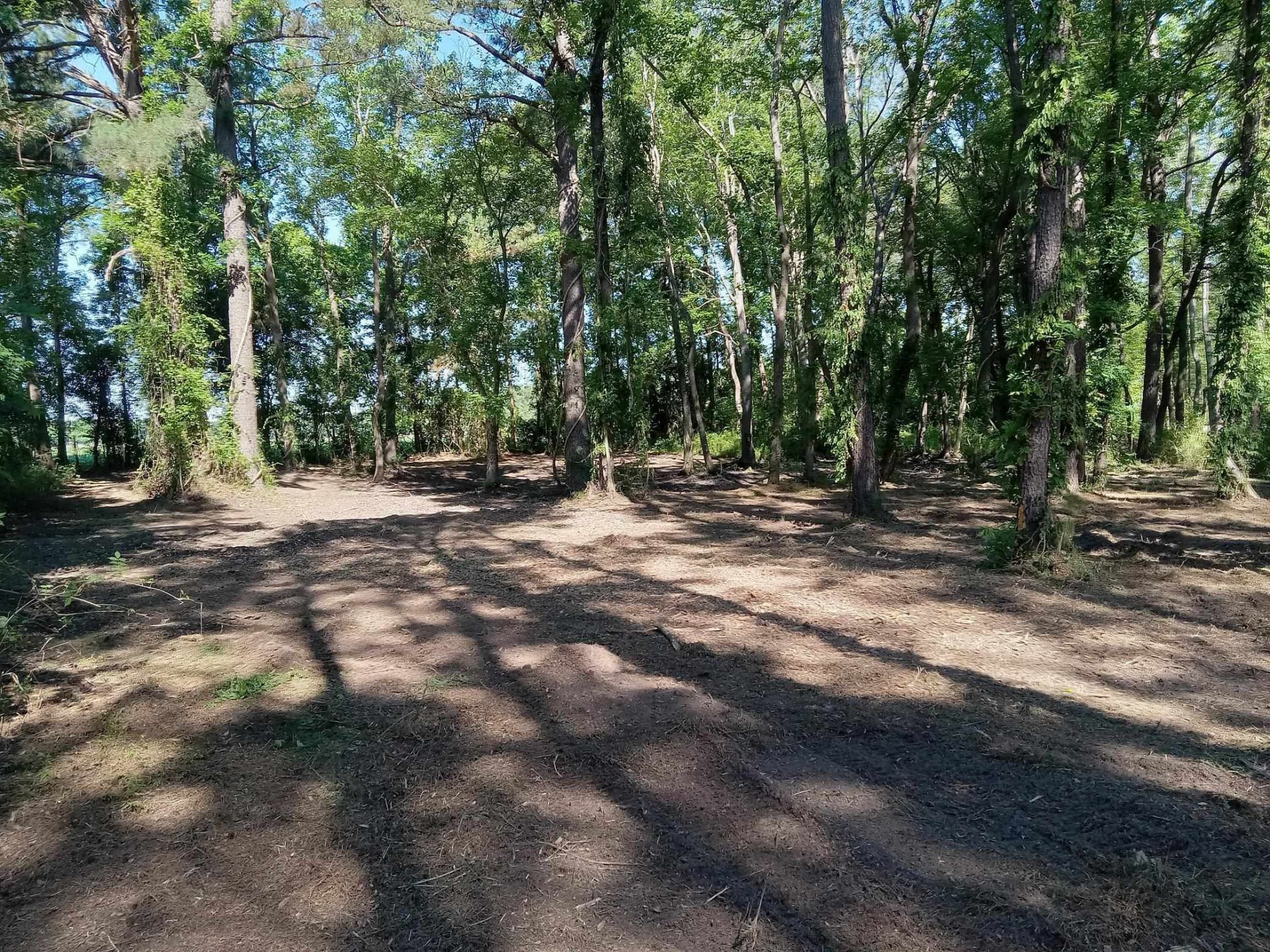 3800 Kickapoo Dr. Photo 5
