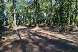 3800 Kickapoo Dr. photo 4