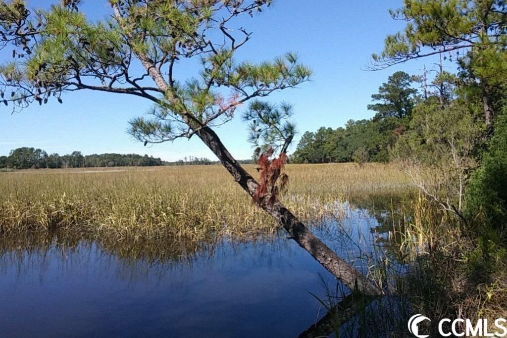 Slip 19 Friendfield Marina Photo 12