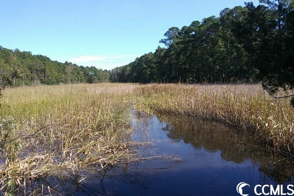 Slip 19 Friendfield Marina Photo 13