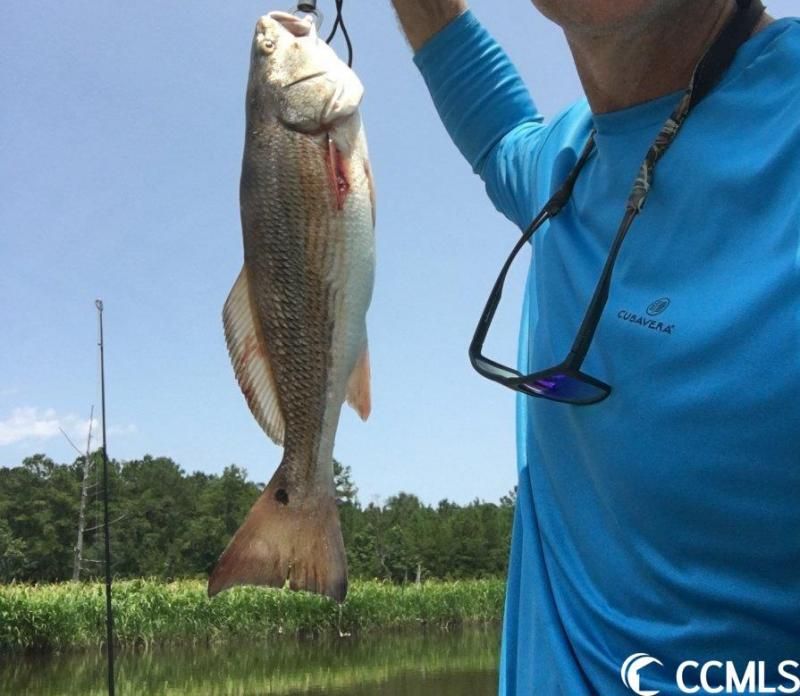 Slip 19 Friendfield Marina Photo 15