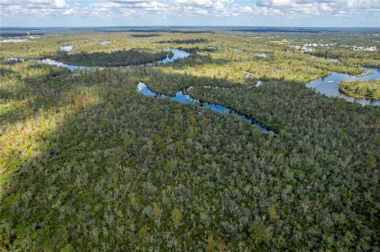 Sw Co Road 761, Lot #A, Arcadia, FL 34269 Photo