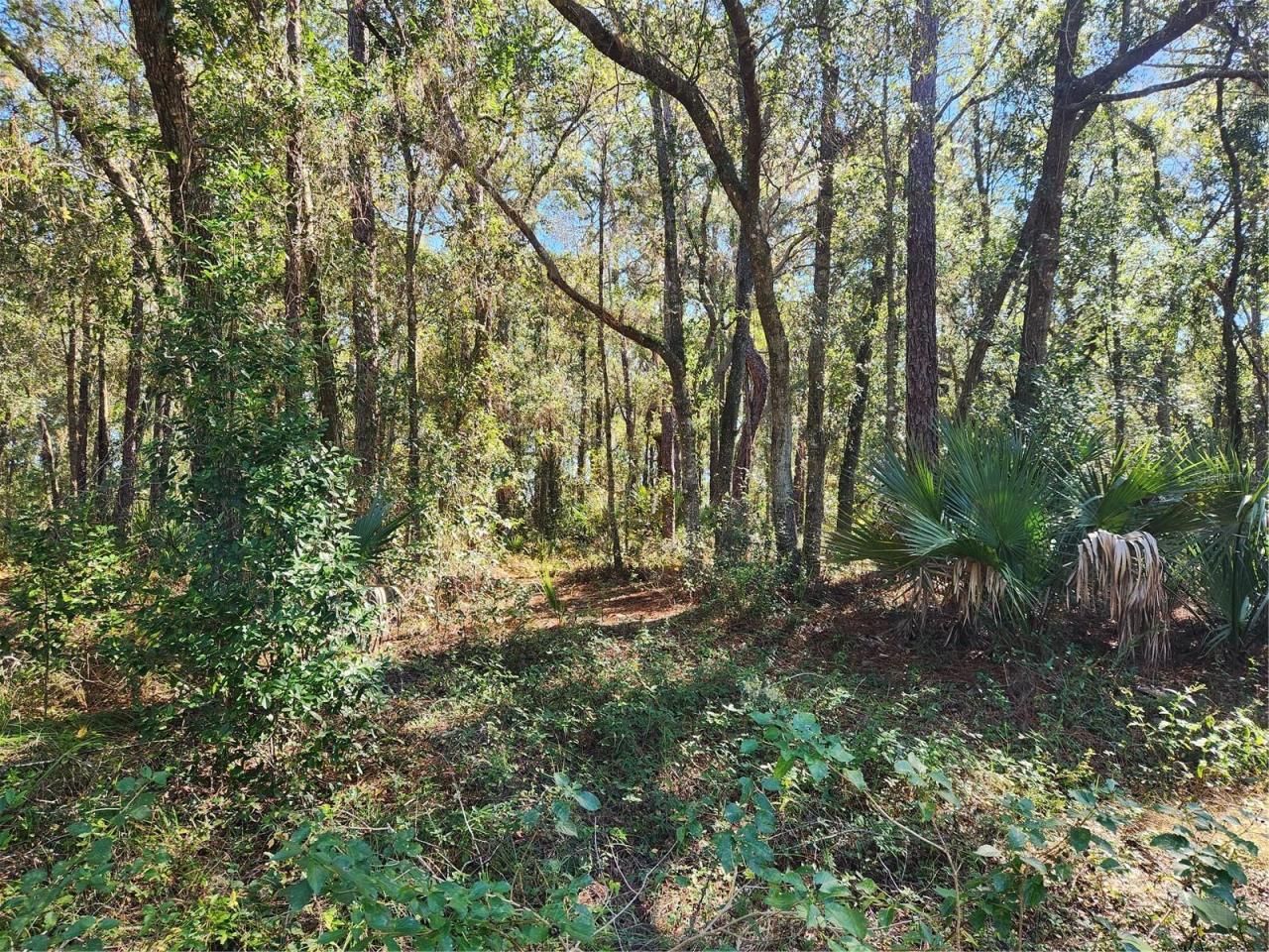 Markham Woods Road, Longwood, FL 32779 Photo