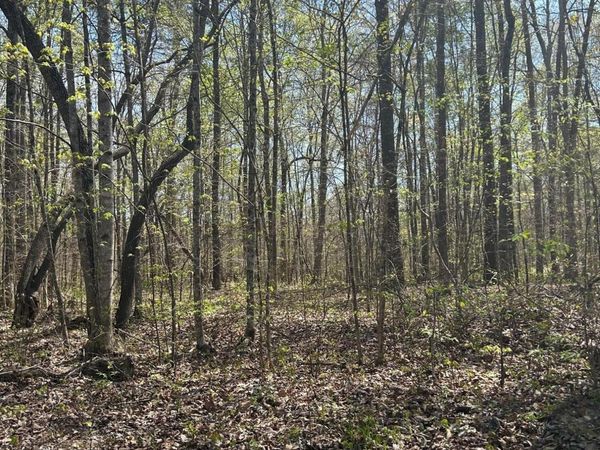 lot 9 Jones Ridge Rd, Speedwell, TN 37870