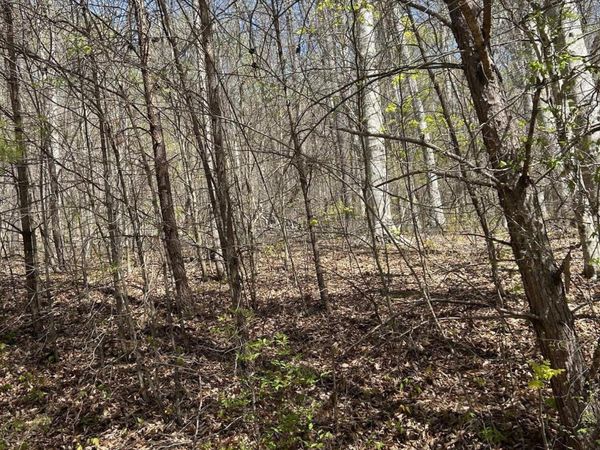 lot 3 Jones Ridge Rd, Speedwell, TN 37870