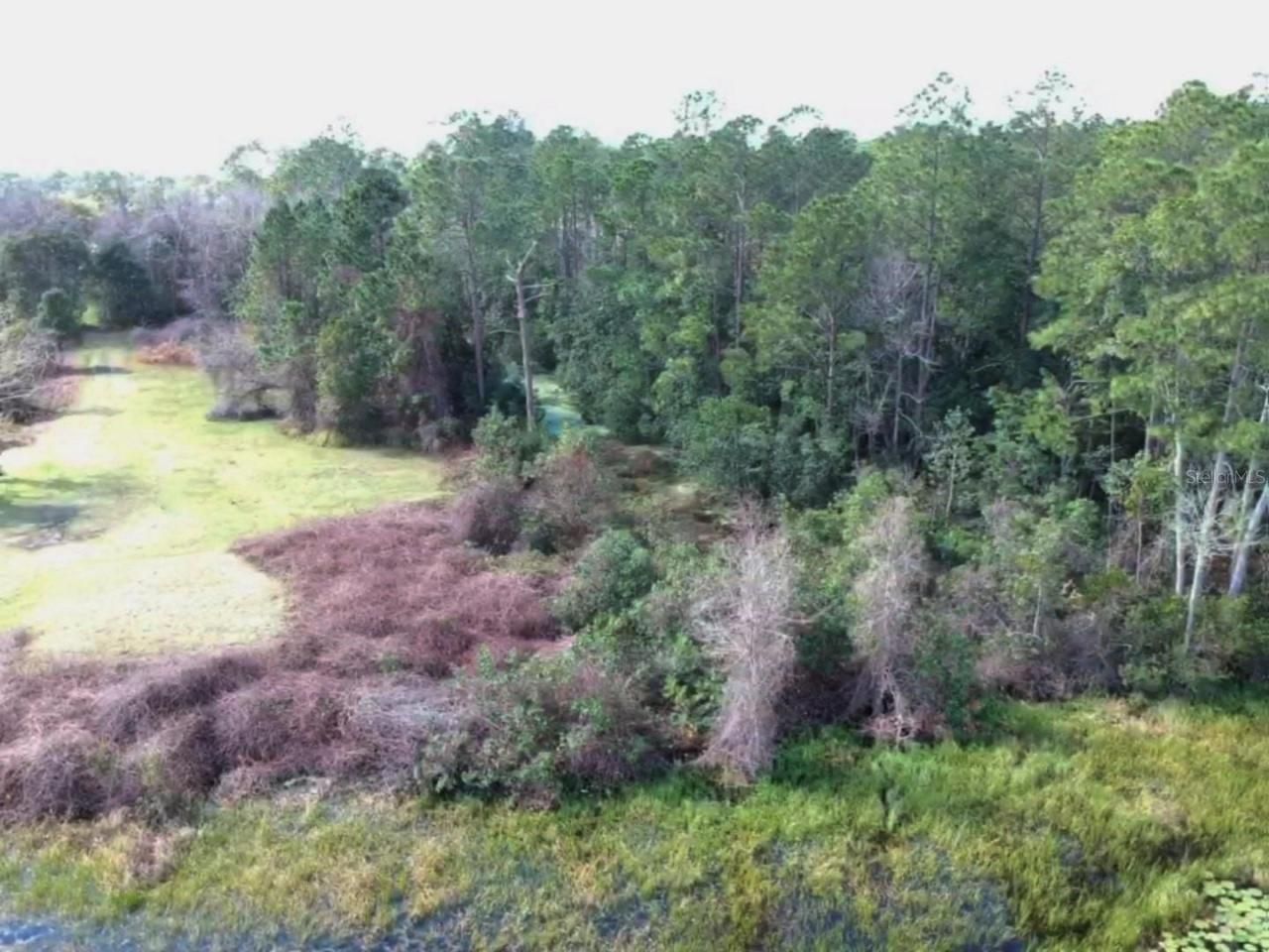 0 Gracie Drive, Paisley, FL 32767 Photo