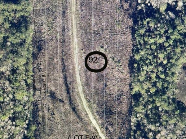 979 SETTLERS LOOP, GENEVA, FL 32732