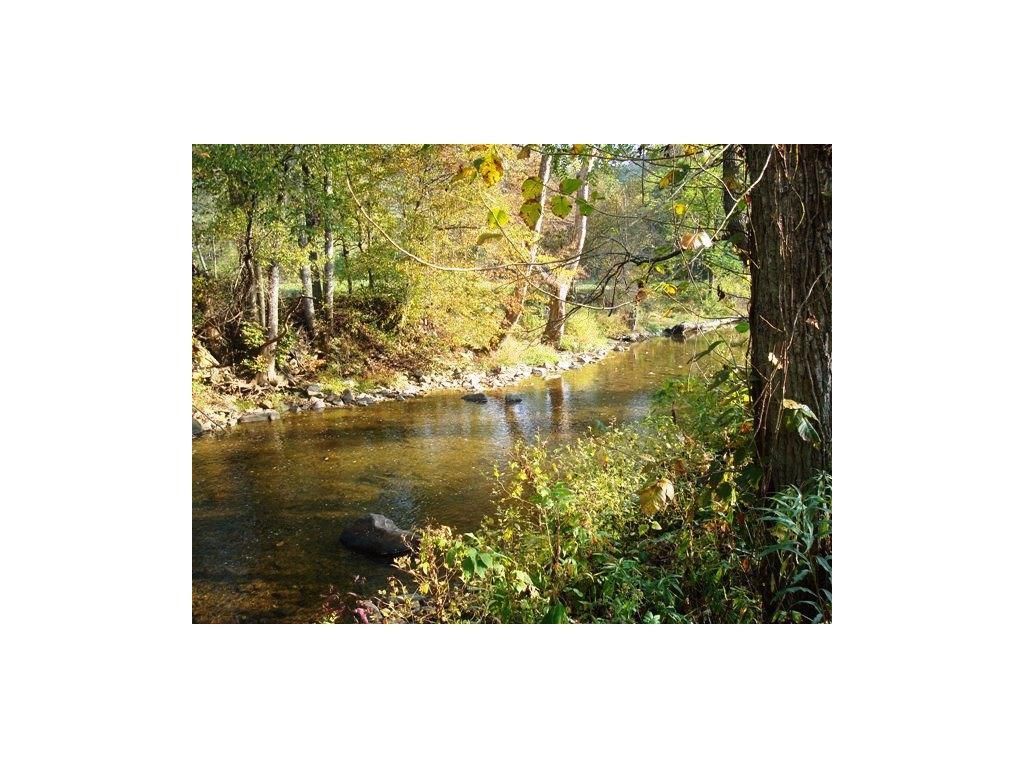 00 Roan Creek Road, Butler, TN 37640 Main Photo