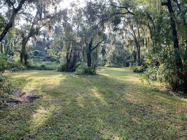 351 Palm Avenue, Oak Hill, FL 32759 Photo