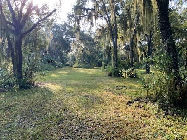 351 Palm Avenue, Oak Hill, FL 32759 Photo