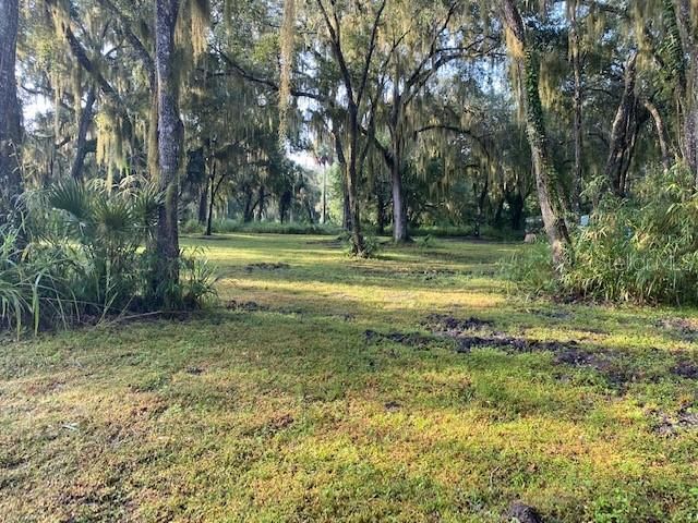 351 Palm Avenue, Oak Hill, FL 32759 Photo