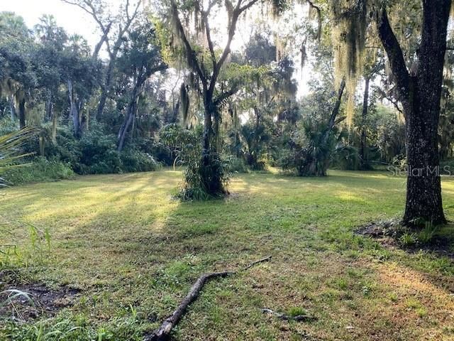351 Palm Avenue, Oak Hill, FL 32759 Photo