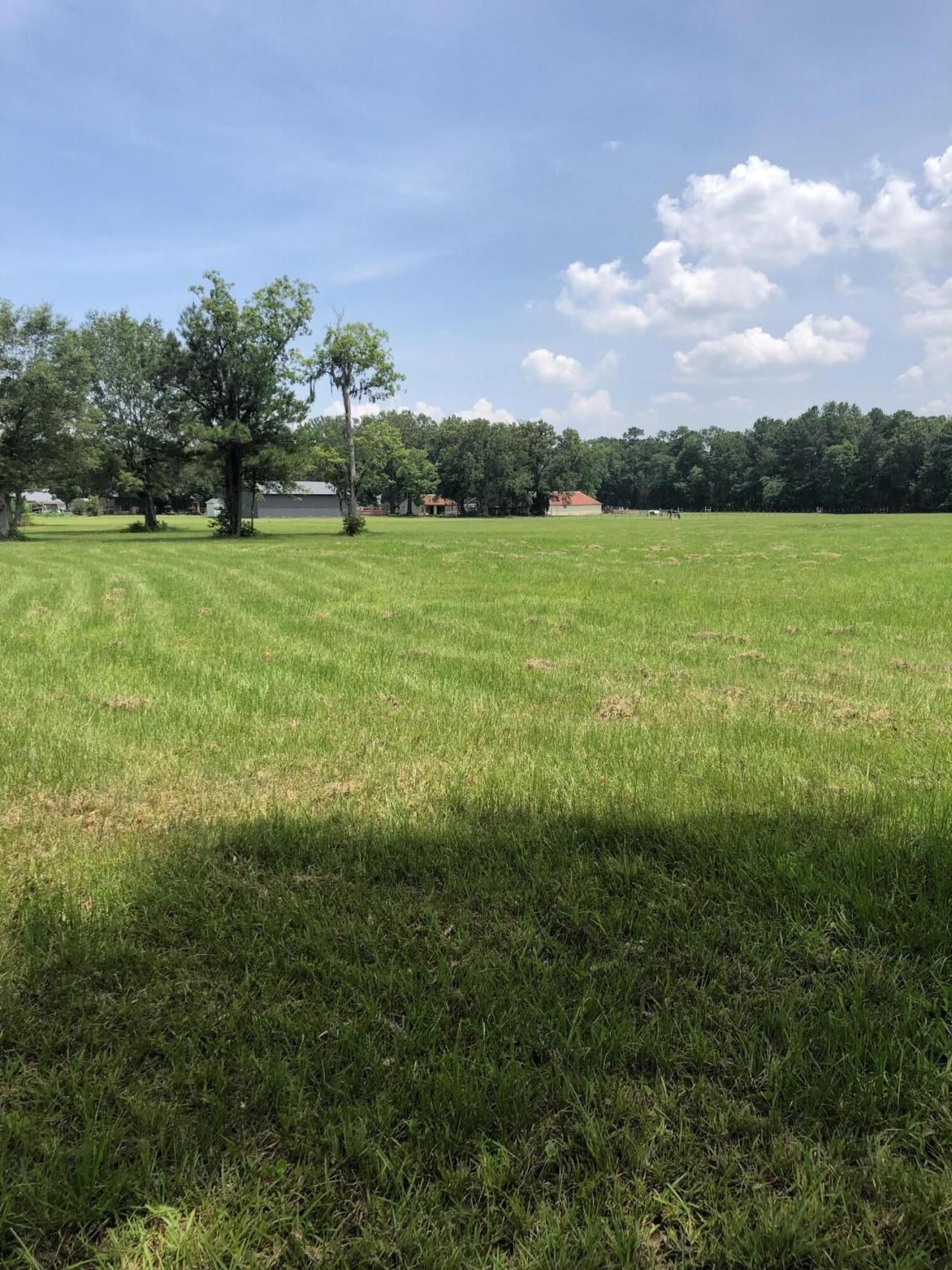 159 Nello Drive Photo 1