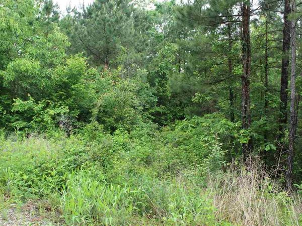 Bonnerdale, AR 71933