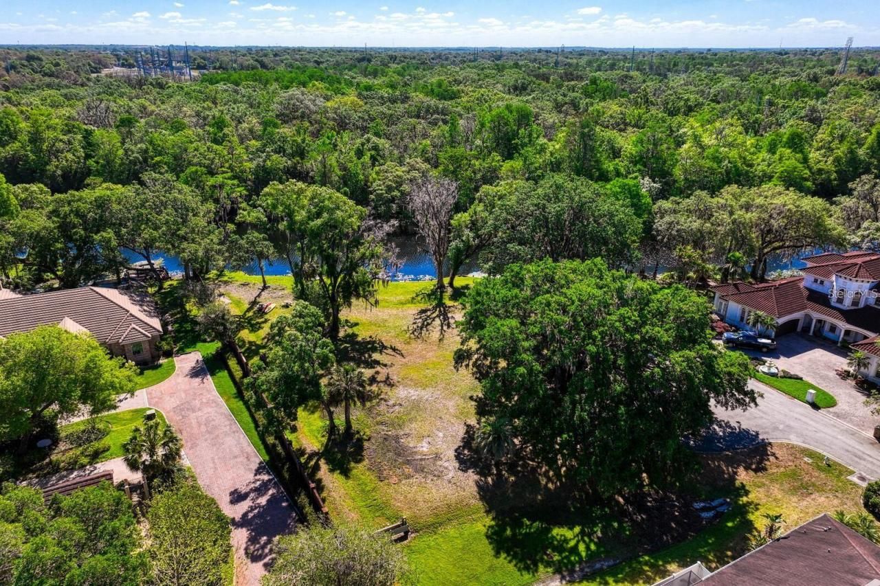 7810 Terrace Oaks Court, Temple Terrace, FL 33617 Photo