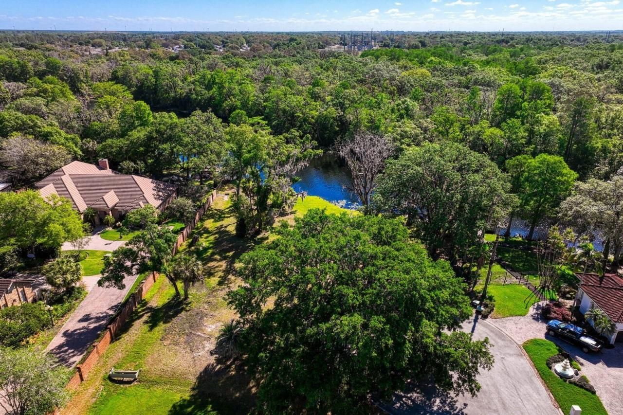 7810 Terrace Oaks Court, Temple Terrace, FL 33617 Photo