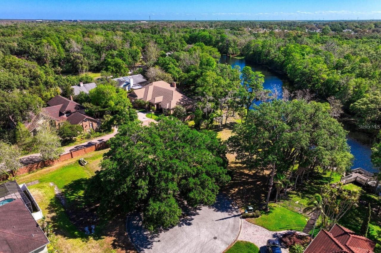 7810 Terrace Oaks Court, Temple Terrace, FL 33617 Photo