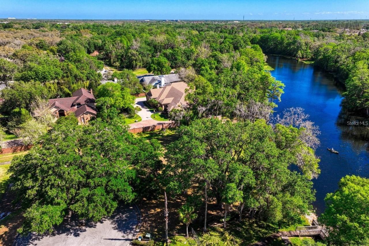 7810 Terrace Oaks Court, Temple Terrace, FL 33617 Photo