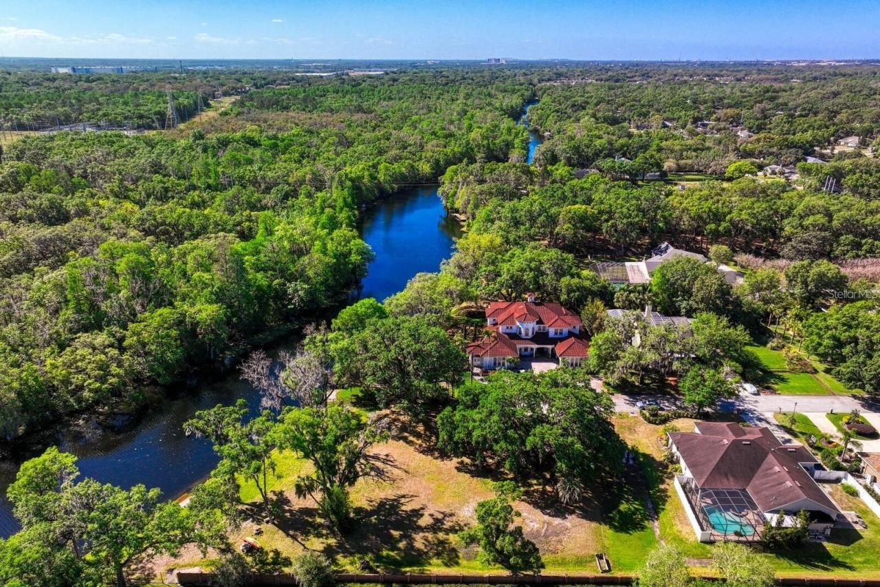 7810 Terrace Oaks Court, Temple Terrace, FL 33617 Photo