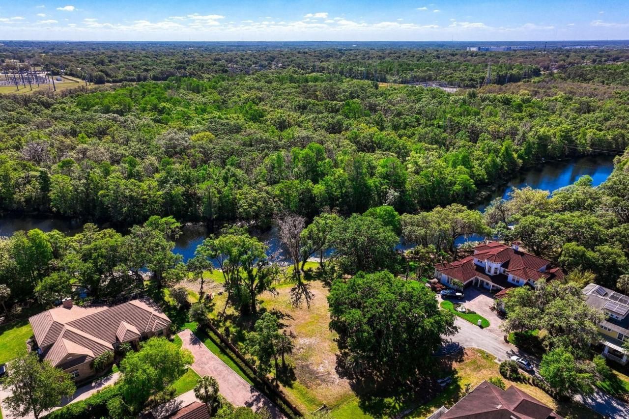 7810 Terrace Oaks Court, Temple Terrace, FL 33617 Photo