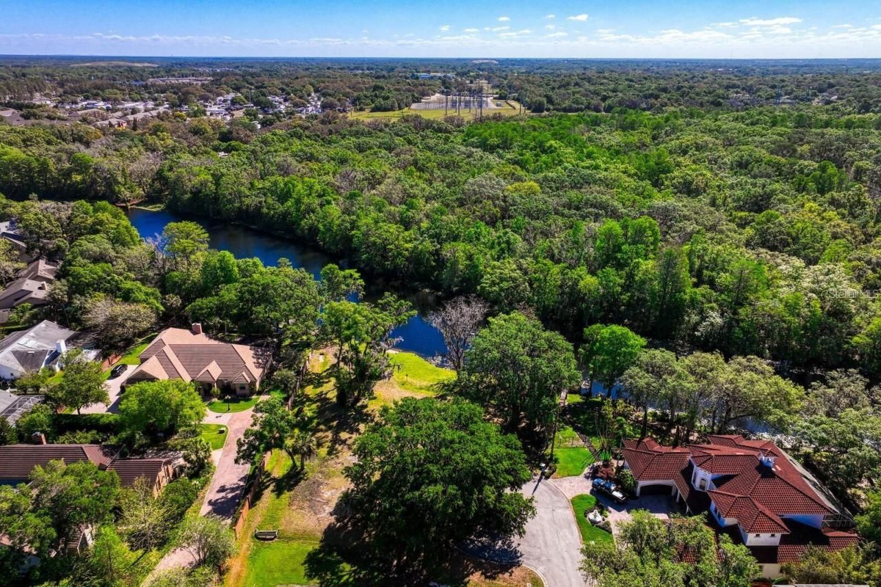 7810 Terrace Oaks Court, Temple Terrace, FL 33617 Photo