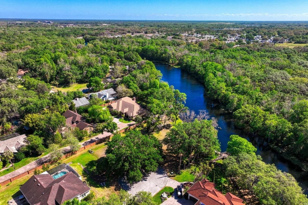 7810 Terrace Oaks Court, Temple Terrace, FL 33617 Photo