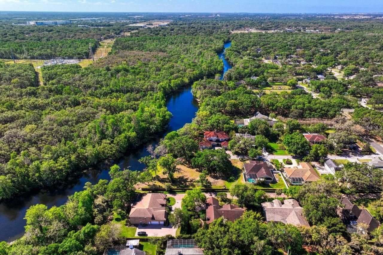 7810 Terrace Oaks Court, Temple Terrace, FL 33617 Photo