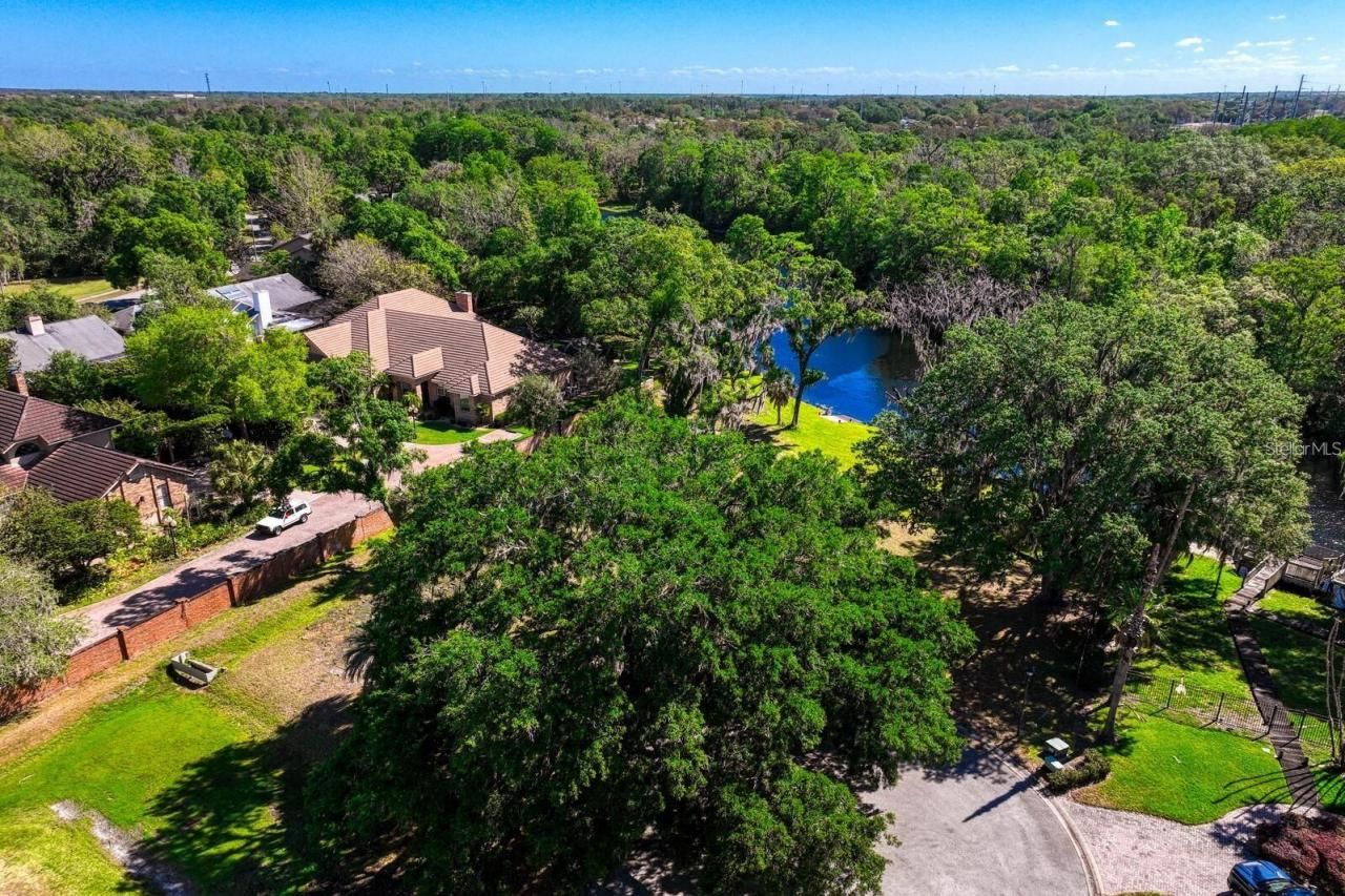 7810 Terrace Oaks Court, Temple Terrace, FL 33617 Photo