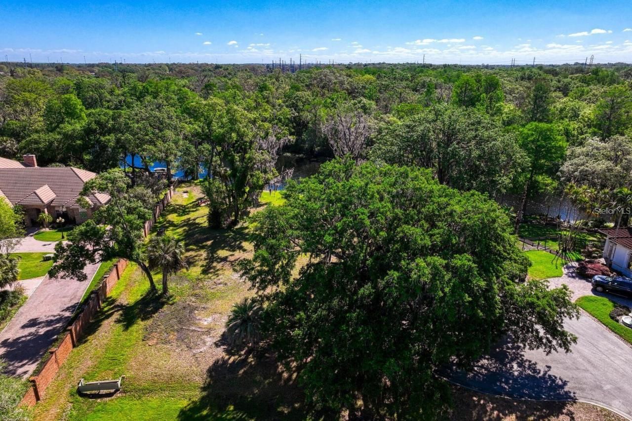 7810 Terrace Oaks Court, Temple Terrace, FL 33617 Photo