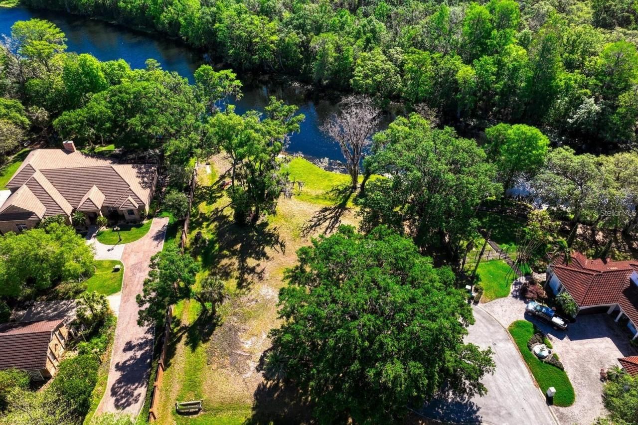 7810 Terrace Oaks Court, Temple Terrace, FL 33617 Photo