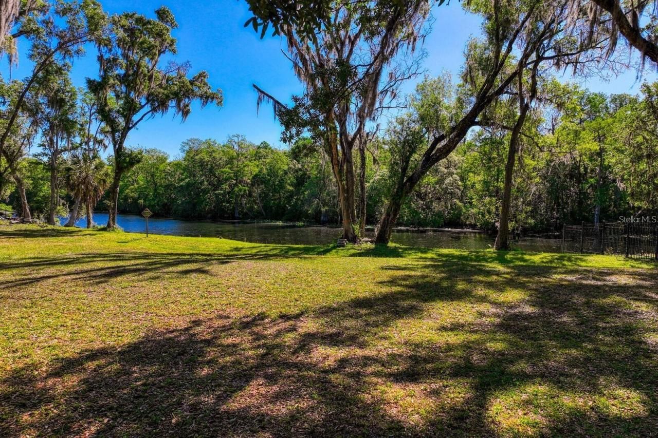 7810 Terrace Oaks Court, Temple Terrace, FL 33617 Photo