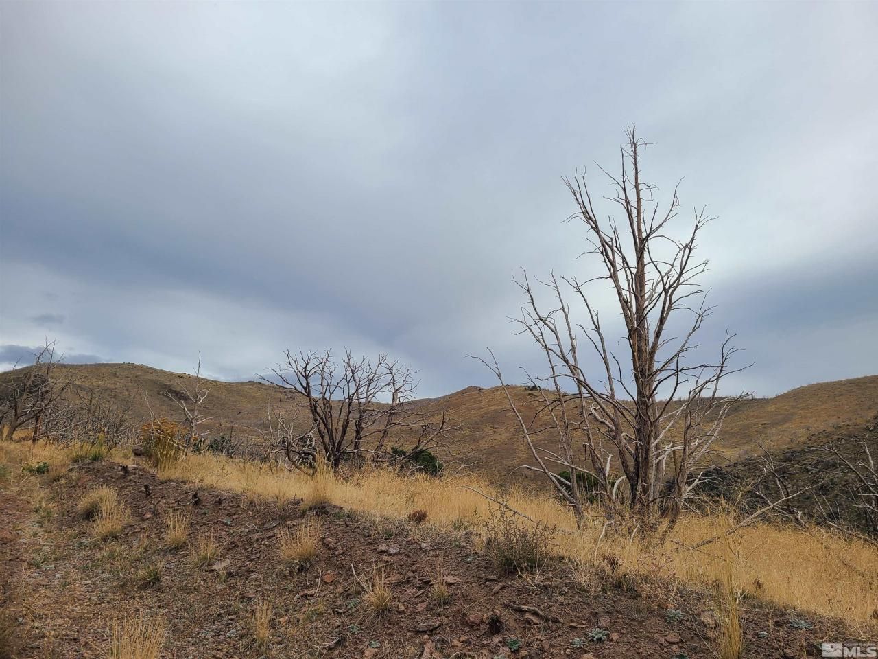 2200 Piute Creek Road, Reno, NV 89510 Photo