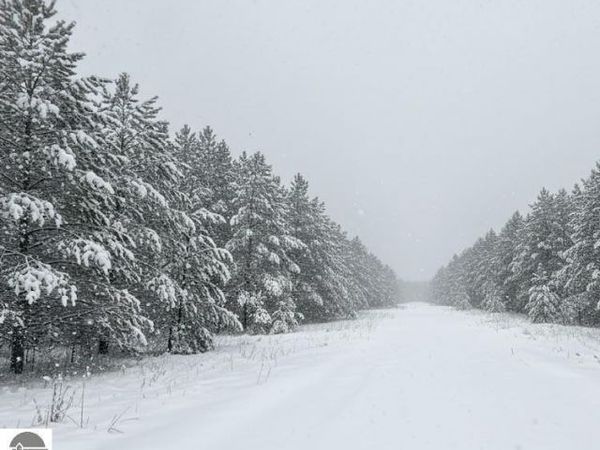 2 2 1/2 Road N, Buckley, MI 49620