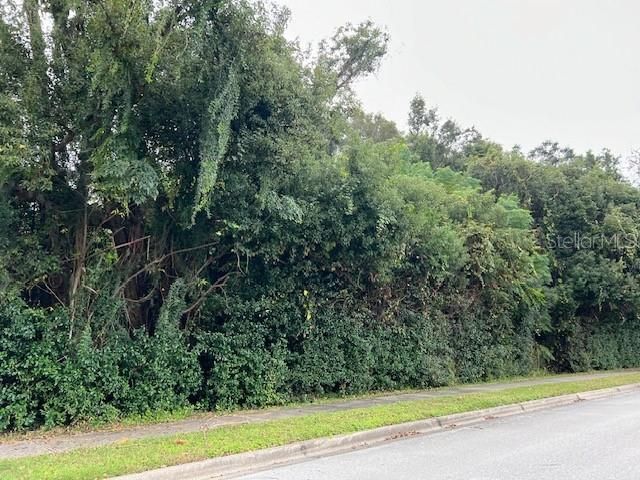 1290 W Plymouth Avenue, Deland, FL 32720 Photo