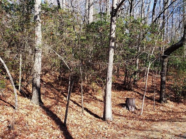 9999 Galax Lane, Brevard, NC 28712